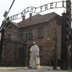 5c8b17a8240000f404a4102f