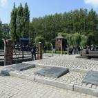 5c8b17ab2400004205a4103a