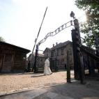 5c8b17ad360000e01c6c7067