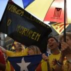 5c8a982e250000e203c93caa