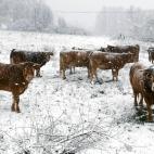 5dcda1d02500003108d2d205