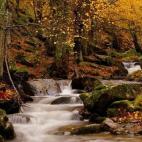 La senda ecológica del Puerto de Canencia es como dice Rubén: "Una joya del otoño madrileño”. Forma parte de la Sierra de Guadarrama y tiene un recorrido de 7kilómetros que pasa por rincones como el arroyo del Sestil. ¡Porque Madrid es m...