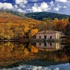 Los jardines de La Granja deberían visitarse cuatro veces al año, una vez por estación, aunque es cierto que el otoño debe ser el momento más espectacular de todo el año. Hay una zona en concreto, el estanque El Mar, donde el juego de colo...