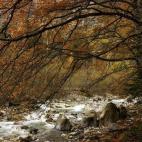 "Cada estación del año tiene su encanto, pero yo me quedo con el otoño". Jose Antonio Molina. "Os lo recomiendo en cualquier estación pero sobre todo en otoño. Es para mí cuando alcanza su máxima belleza". Félix Ruiz. "[…] he estado...