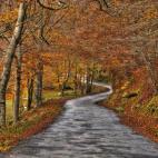 Este es el único lugar de La Rioja que tiene la categoría de Parque Natural. En su territorio, con más de 23.000 hectáreas, hay bosques de pinos, hayedos, robles, olmos, tilos... "Un buen lugar para oxigenarse y disfrutar de la naturaleza". ...