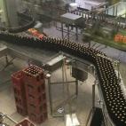 Momento en el que se embotella la cerveza