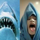 5c8a9526230000d504234703