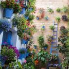 Araceli L&oacute;pez Navajas es la propietaria y 'autora' de este patio de nueva construcci&oacute;n adornado con m&aacute;s de 420 plantas.