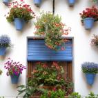 Araceli dedica unas tres horas diarias al cuidado del patio, tanto en verano como en invierno, cuando las coloridas plantas de la primavera son sustituidas por otras propias de la &eacute;poca.