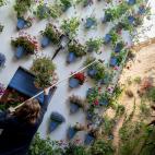 Para regar las que est&aacute;n m&aacute;s altas, el marido de Araceli ha ideado un sencillo sistema con una ca&ntilde;a de pescar y una lata.