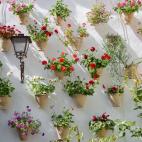 Que los patios luzcan bonitos supone un cuidado trabajo diario. Geranios y gitanillas son las flores habituales que alegran estos espacios.