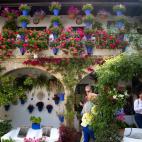 Las macetas y las plantas se api&ntilde;an en todos los rincones: damas de noche, rosas, hierbabuena, tomillo, romero, albahaca, madreselva, incienso, jazmines, limoneros...