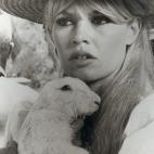 5c8a981e3b000037066c2b03