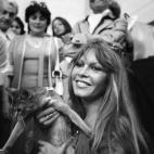 5c8a982020000045046f5874