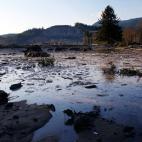 5c8b40be240000f7054d3157