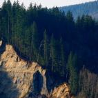 5c8b40bf2300005300e7e8ef