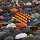 5c8a983f240000f404a34716