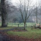 Hollywood Hills (Estados Unidos)