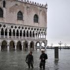 5dcbbaf51f00008204dee3cc