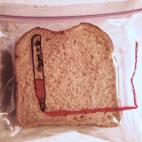 Más imágenes en la página de Flickr de David Laferriere.