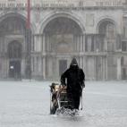 5dcbbabe2500000605d2cebe