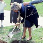 Plantando un &aacute;rbol.