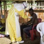 5c8b11c5240000f404a40434