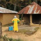 5c8b11c82400004205a40440