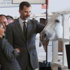 5c8b175a3b000072066cf16c