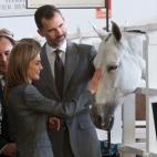 5c8b175a250000e203ca03f6