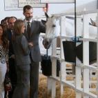 5c8b175a2500001304ca03f8