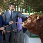 5c8b175b230000040124147b