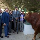 5c8b175b3b000054066cf172