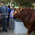 5c8b175c2500000d04ca03fe