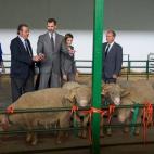 5c8b175d22000033001a4043