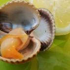 Además de estar buenísimos son una gran fuente de hierro. Pruébalos con un toque de limón, como los de esta receta.