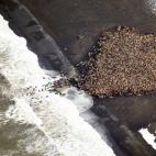 5c8b159b22000051001a3cf1