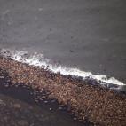 5c8b159b2300000401241123