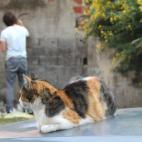 5c8b39fd2300005300e7df06