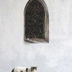 5c8b3a002300003000e7df0a