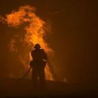 5c8b13da22000030001a3944