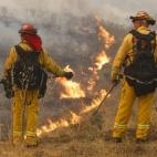 5c8b13db2300003000e78491