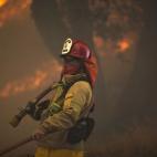 5c8b13db24000093024ccbe8