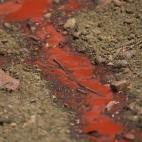 5c8b13dd3b000072066ceabc