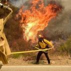 5c8b13dd230000d504240d67