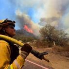 5c8b13dd360000c81a6c68ee