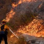 5c8b13de2500000704c9fd51