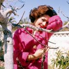 Carmen Sevilla, en im&aacute;genes