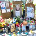 5c8b0bbd20000045047006eb