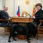 Los gestos de esta foto son geniales. ¿Qué clase de emociones son esas? El presidente ruso Vladimir Putin y Valentina Tereshkova, la primera mujer cosmonauta sonríen mientras ven al perro de la familia Putin, Koni, el 7 de marzo de 2007. (NA...